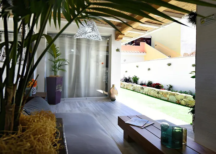 Elis 维拉西米乌斯